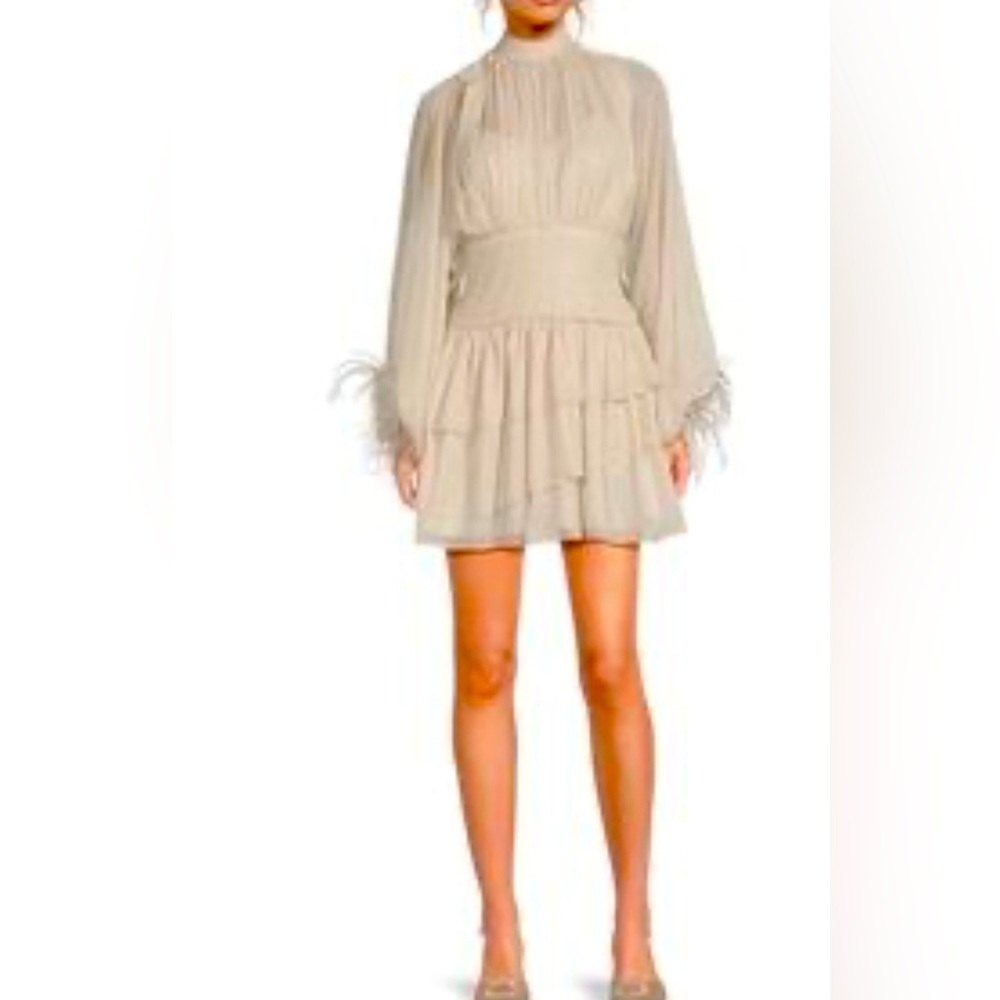 A Loves A Metallic Chiffon Feather Trim Ruched Mock Neck Long Sleeve Mini Dress